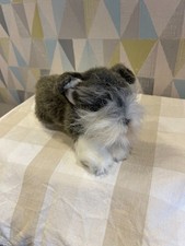 Schnauzer plush dog for sale  BRISTOL