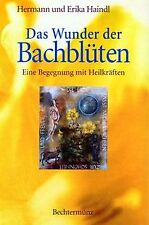 Wunder bachblüten begegnung gebraucht kaufen  Berlin