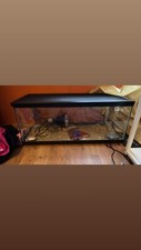 Reptile tank for sale  Pine City
