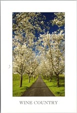 California wine country for sale  Burnsville