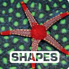 Shapes picture board for sale  Memphis