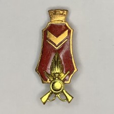 769 distintivo grado usato  Firenze