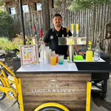 juiced bicycle electric for sale  Garland
