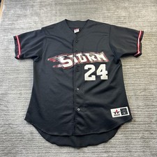 Lake elsinore storm for sale  Orlando