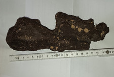 Holz deko wurzel gebraucht kaufen Holz deko wurzel gebraucht kaufen  Netphen