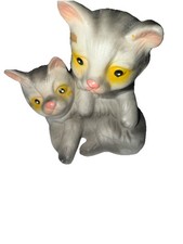 2 kittens shorthaired for sale  Columbus