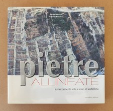 Pietre allineate. terrazzament usato  Cusano Milanino