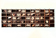 Drawer wood type for sale  Framingham