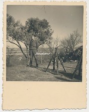 Foto soldat luftwaffe gebraucht kaufen  Bad Münster