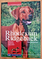 Rhodesian ridgeback charakter gebraucht kaufen  Kerken