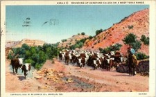 Vtg postcard 9358 for sale  Tenino