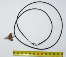 Collier pendentif dent d'occasion  France