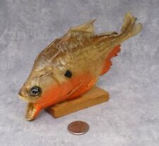 Vintage real red for sale  Crystal Lake