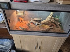 Reptile vivarium sliding for sale  LEICESTER