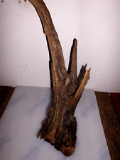 Treibholz schwemmholz holz gebraucht kaufen  Bremen