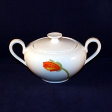 Villeroy boch iceland gebraucht kaufen  Bonn