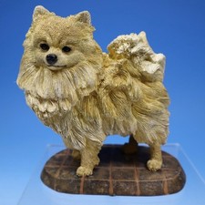 Living stone pomeranian for sale  Auburn