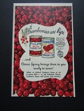 1952 ocean spray for sale  Holly