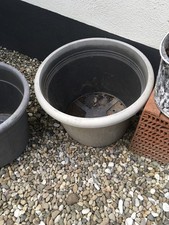 Pflanzkuebel gebraucht kaufen Pflanzkuebel gebraucht kaufen  Homburg