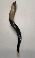 Shofar Yemenite Kudu Horn 24”-27” (60-70cm) KOSHER Meio Polonês Frete Grátis EUA, usado comprar usado  Enviando para Brazil