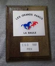 Plaque hippique grands d'occasion  Noyelles-sous-Lens