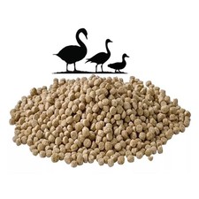 duckling food for sale duckling food for sale CARDIFF
