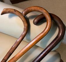 unusual walking sticks for sale  Farmington