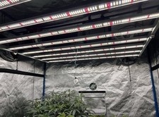 Mars hydro 6500 for sale  Port Richey