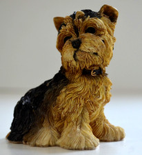 Yorkshire terrier vintage for sale  SETTLE