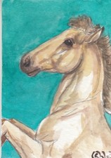original water color for sale  Bonham