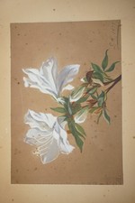 Beau dessin gouache d'occasion Beau dessin gouache d'occasion  Périgueux