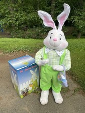bunny male for sale bunny male for sale Marlborough
