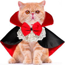 Cane gatto vampiro usato  Roma