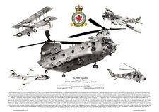 Squadron montage signed for sale  MELTON MOWBRAY