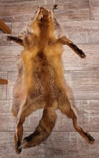 Echtes fuchsfelle komplett gebraucht kaufen Echtes fuchsfelle komplett gebraucht kaufen  Kitzingen