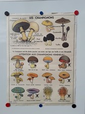 Affiche scolaire vintage d'occasion  Ploërmel