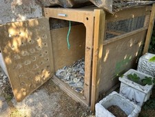 Large dog kennel for sale  WINDSOR
