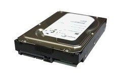Seagate Constellation ES 1 TB 7.2k 3Gbs SATA ST31000524NS 9JW154-090 9WK5P2A6 HD comprar usado  Enviando para Brazil