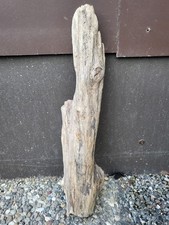 Treibholz wurzel ast gebraucht kaufen  Schwäbisch Hall