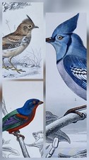 1850 gravures originales d'occasion  Asnières-sur-Seine