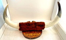 Vtg mounted bull for sale  Valrico