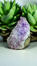 Amethyst druse mineralien gebraucht kaufen  Castrop-Rauxel