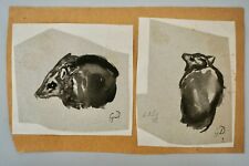 Original washes studies d'occasion  Expédié en Belgium
