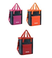 Borsa frigo polar usato  Grumo Nevano