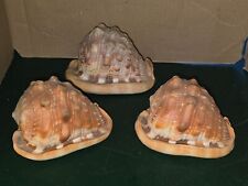 Coquilles casque rouge d'occasion  Ciry-le-Noble