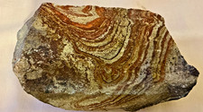 Large rhyolite rough for sale  Jacksonville