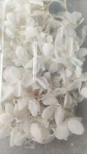 Fiori secchi viburno usato  Siracusa