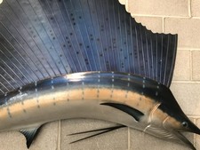 Sailfish half mount for sale  Spring Grove
