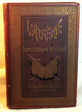 Livre ancien rare d'occasion  Ajaccio-