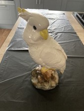 Cockatiel for sale  NEWARK
